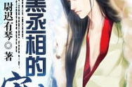 腹黑丞相的宠妻,爱恨交织的宫廷恋曲