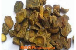 醋延胡索,传统中药的活血止痛之道