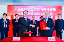 大连天神娱乐,探索中国游戏产业的璀璨星河