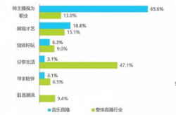 娱乐直播公司薪酬,高薪背后的行业秘密