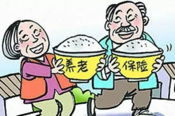养老新政策,养老金调整、参保范围扩大与权益保障