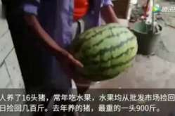 吃瓜网的视频从哪里来,独家幕后故事大公开